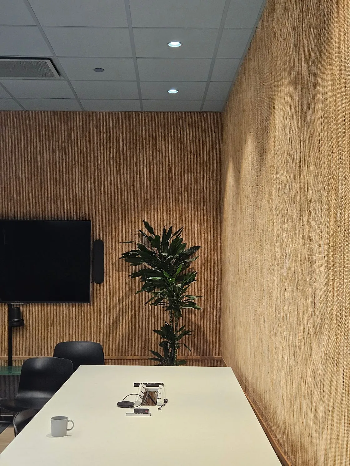 Møterom med stråtapet, grønn plante i hjørnet, stort bord med kabler og stoler, og TV på veggen.
