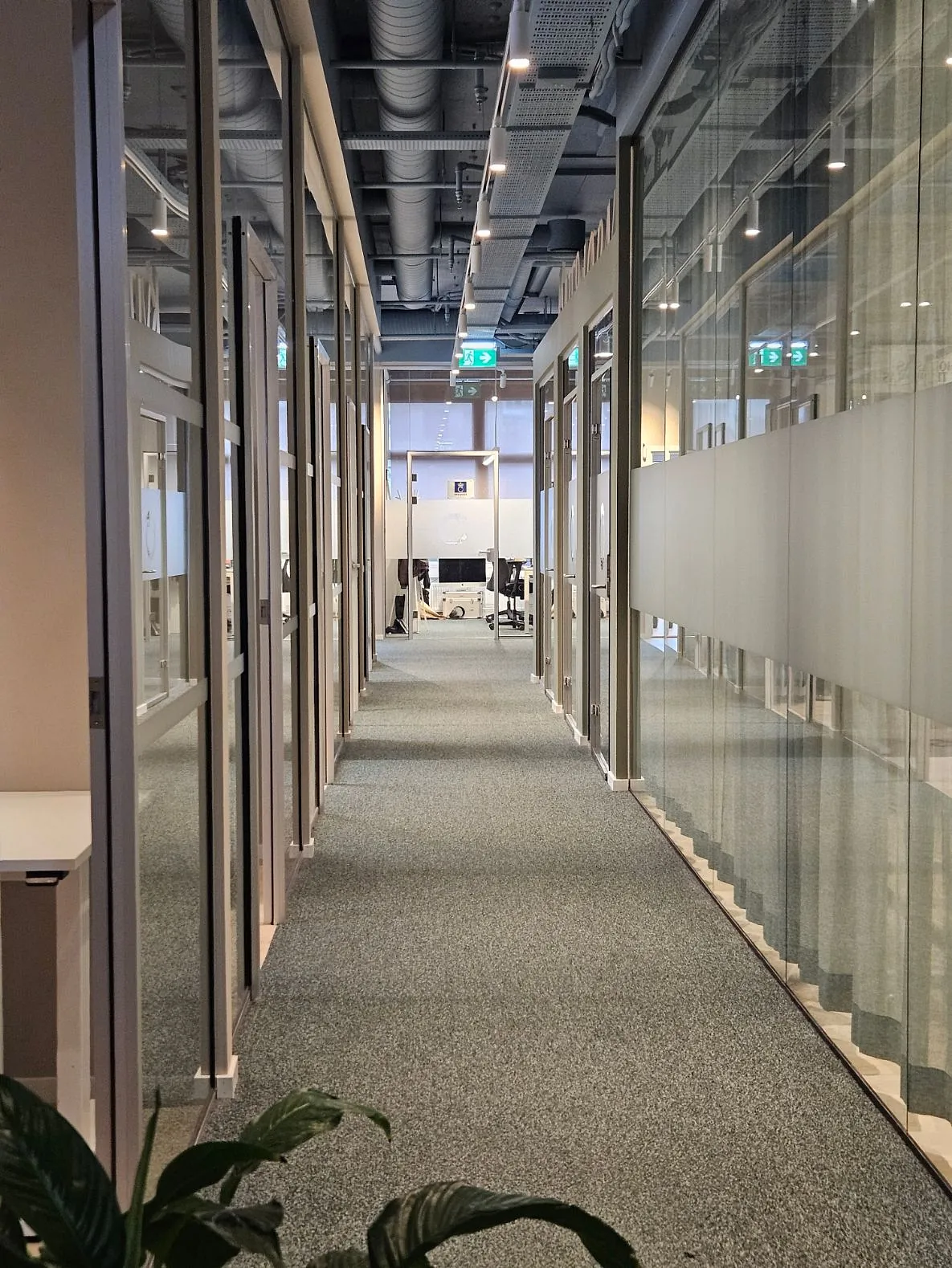 Lys kontorgang med teppebelagt gulv, glasskontorer på sidene og synlig teknisk takinstallasjon.