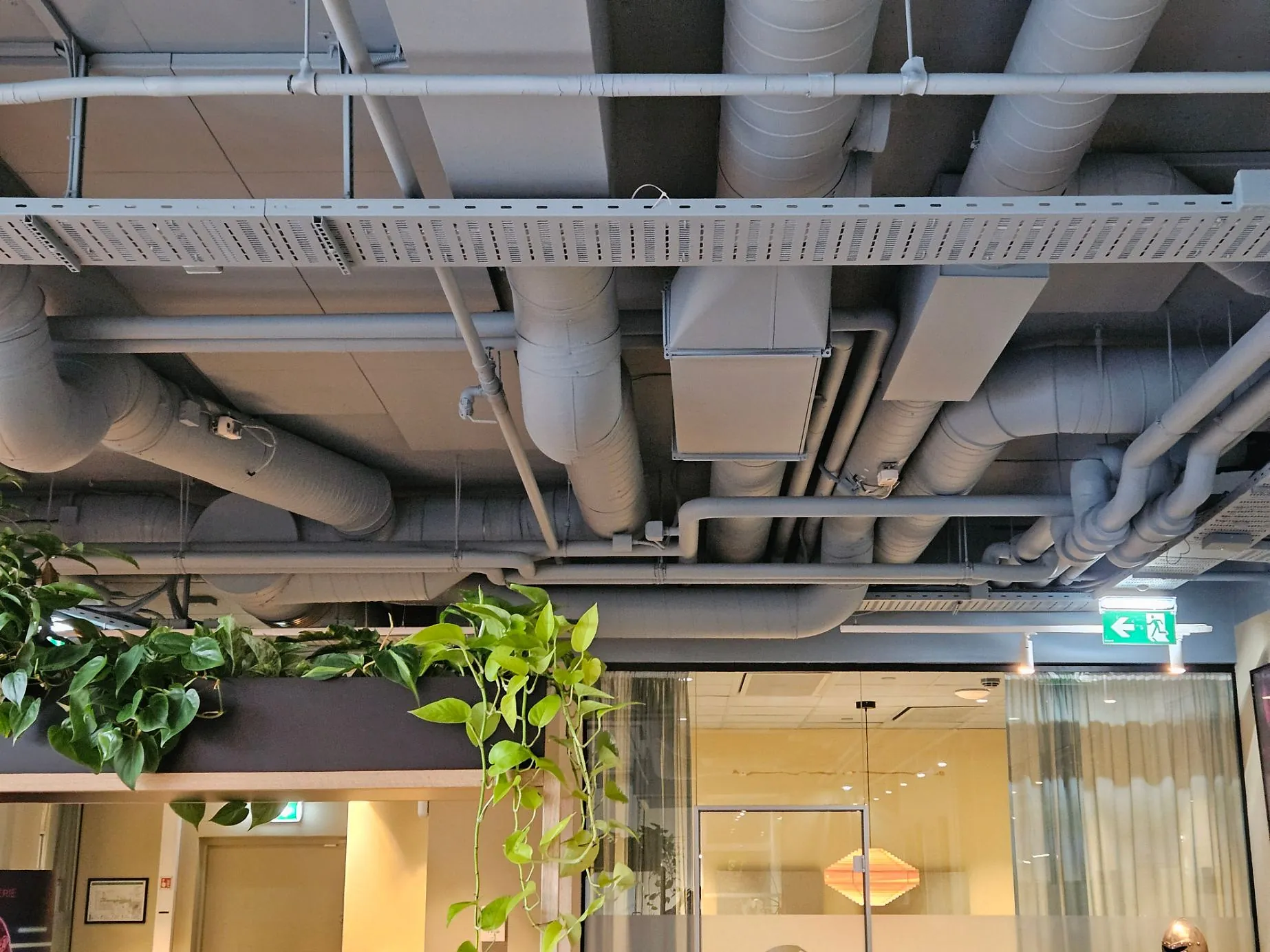 Takdetaljer med synlige rør og ledningsbaner, samt grønne planter på toppen av en romdeler.